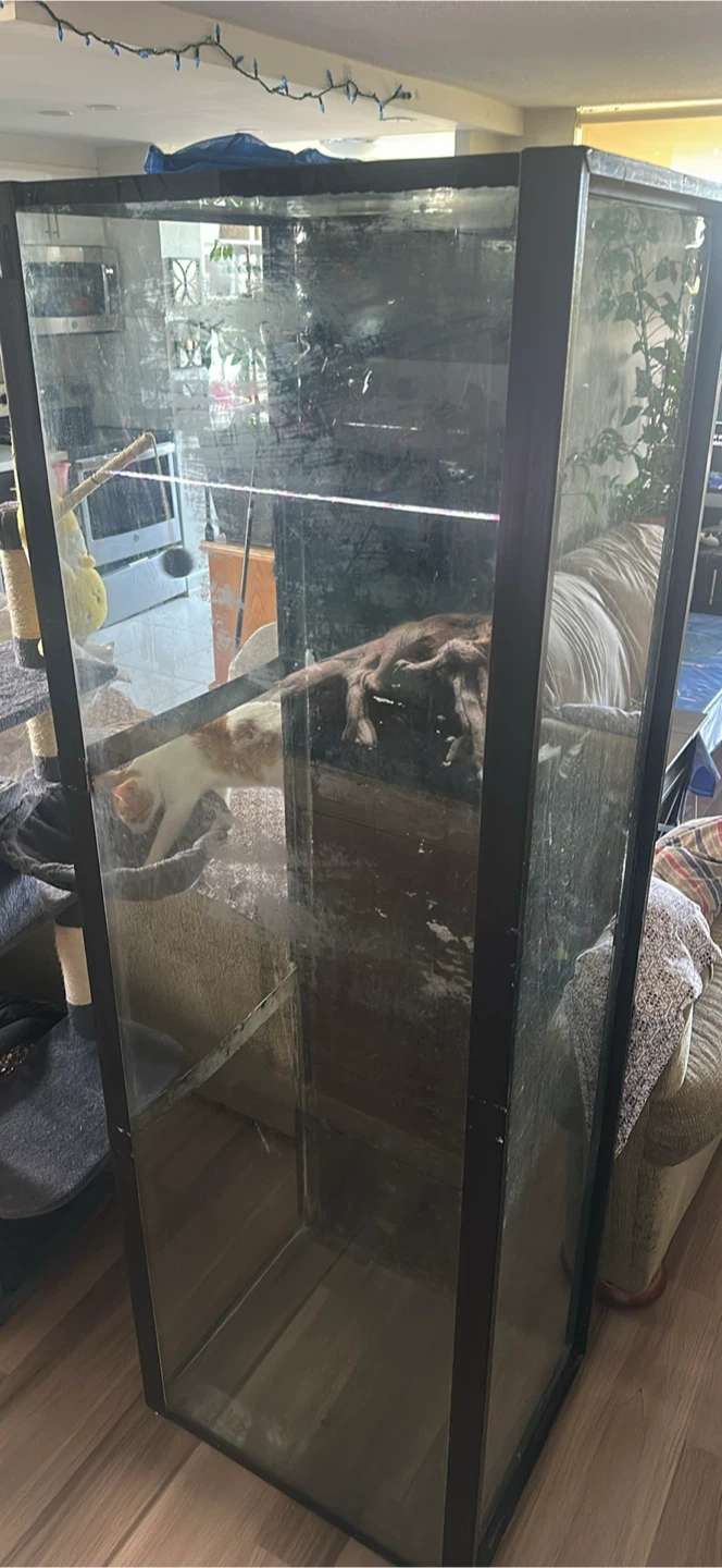 Large Glass Terrarium/Aquarium
