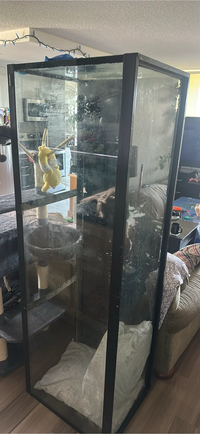 Large Glass Terrarium/Aquarium - photo 3