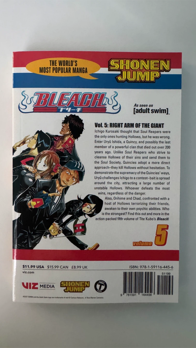 Bleach Manga Volume 5: Right Arm of the Giant - photo 2
