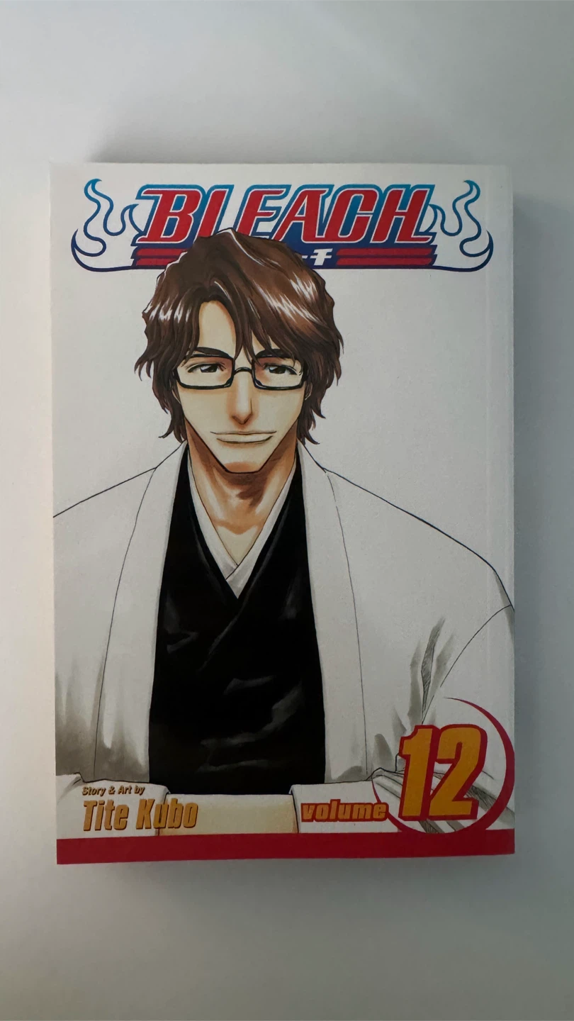Bleach Volume 12 Manga