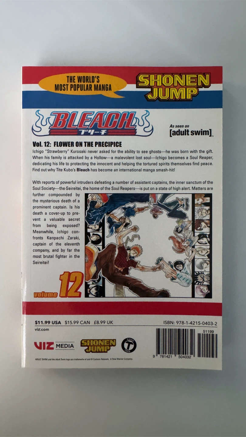 Bleach Volume 12 Manga - photo 2