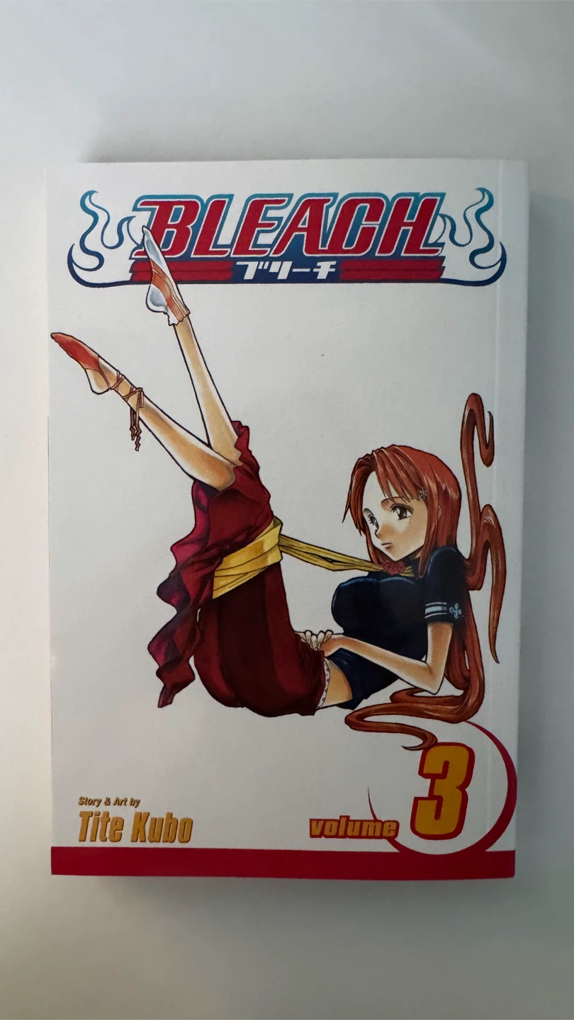 Bleach Manga Vol. 3: Memories in the Rain