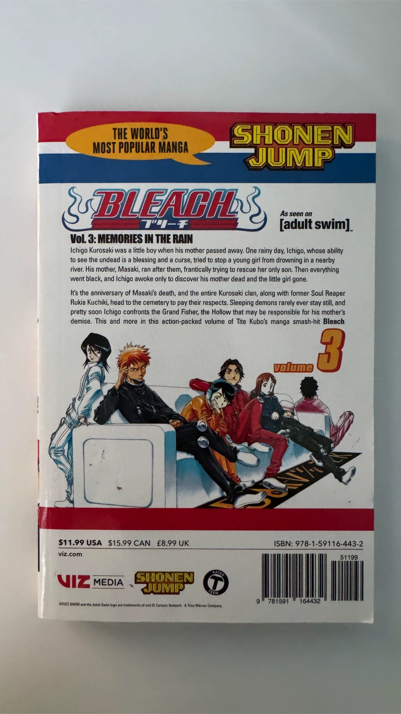 Bleach Manga Vol. 3: Memories in the Rain - photo 2