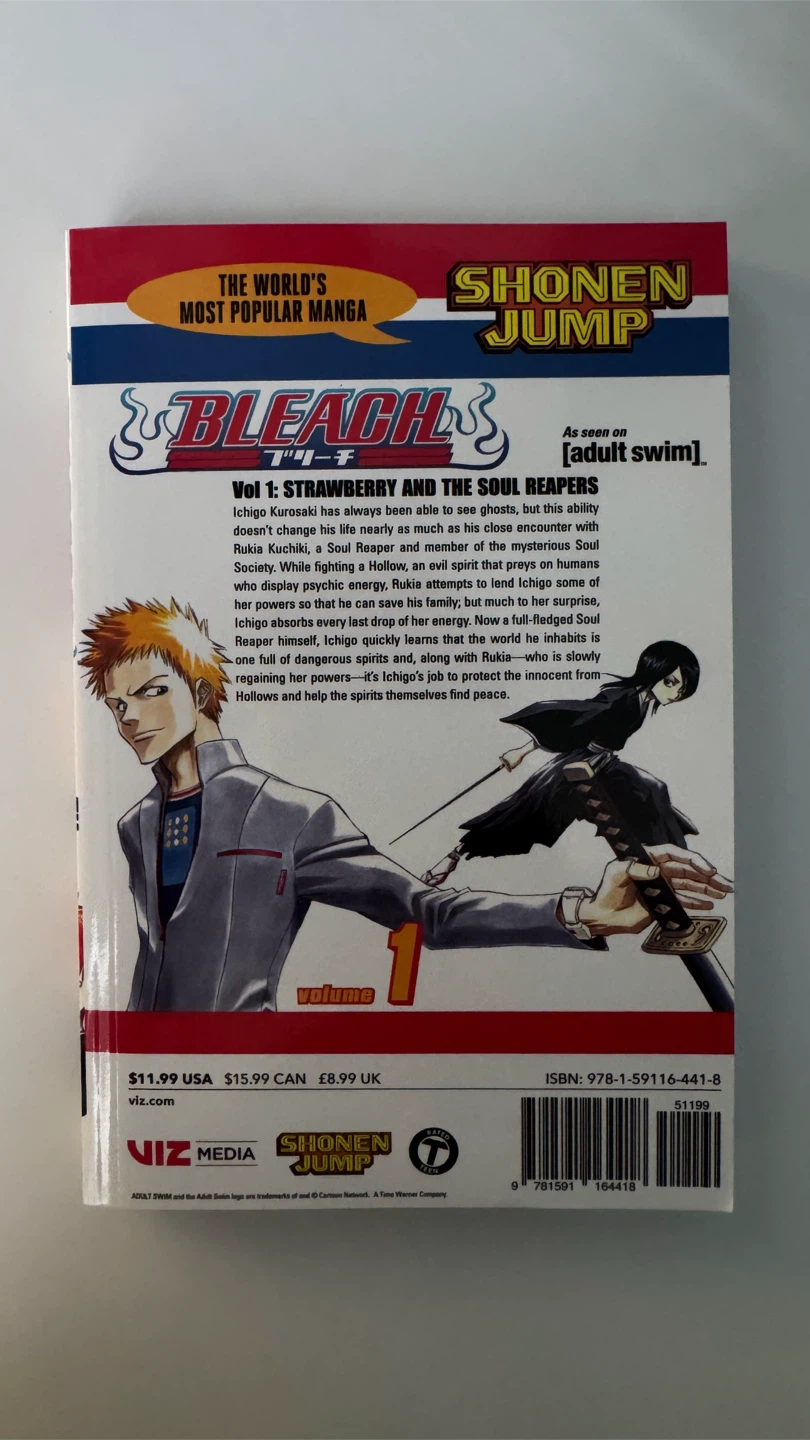 Bleach Volume 1 Manga by Tite Kubo - photo 2