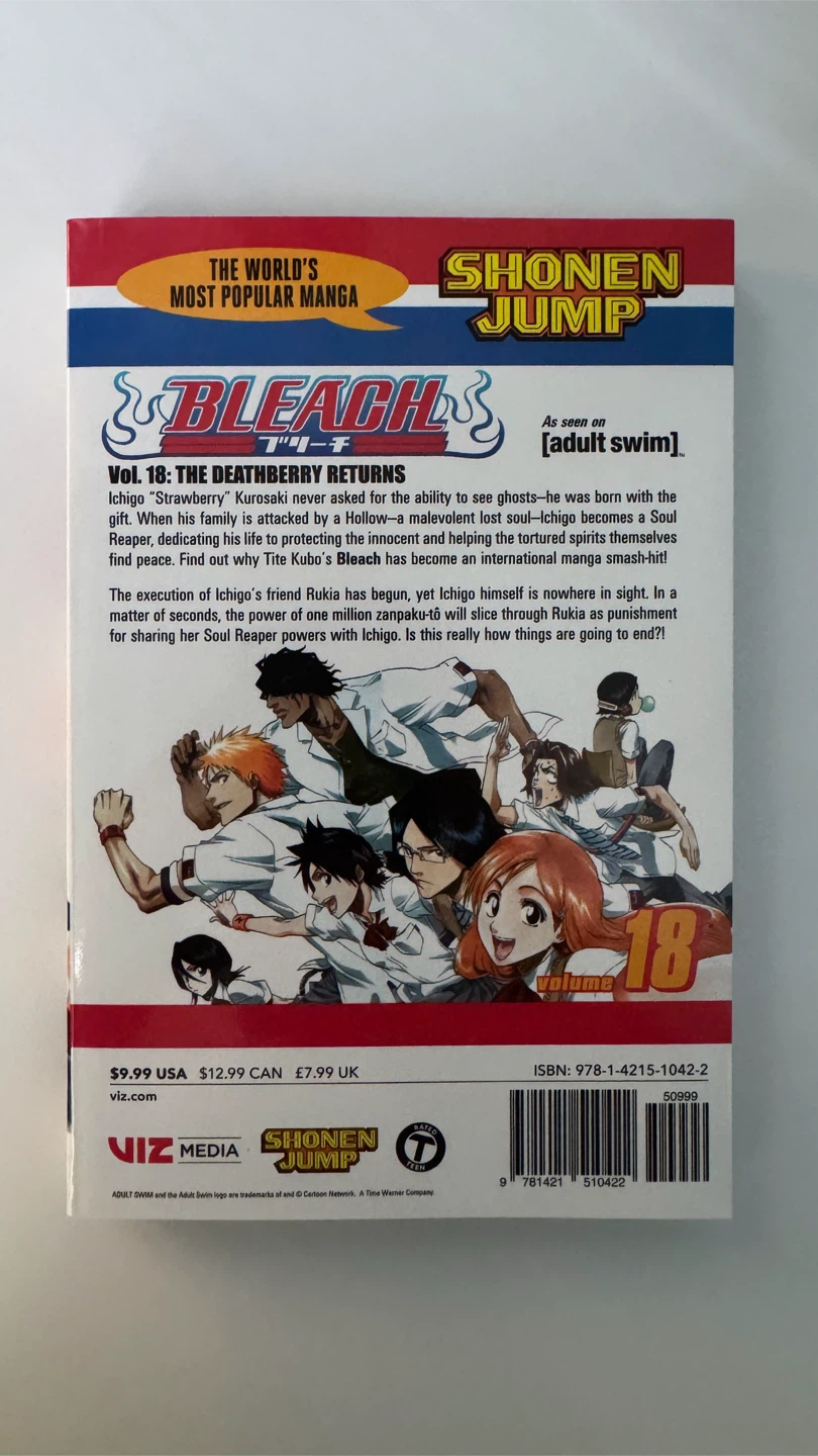 Bleach Manga Volume 18 The Deathberry Returns - photo 2