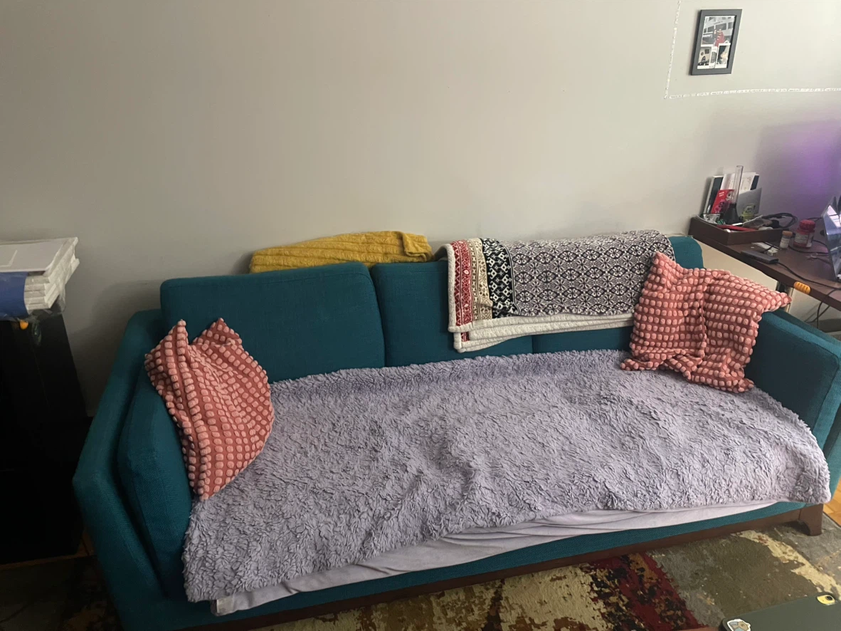 Article - Couch - photo 5