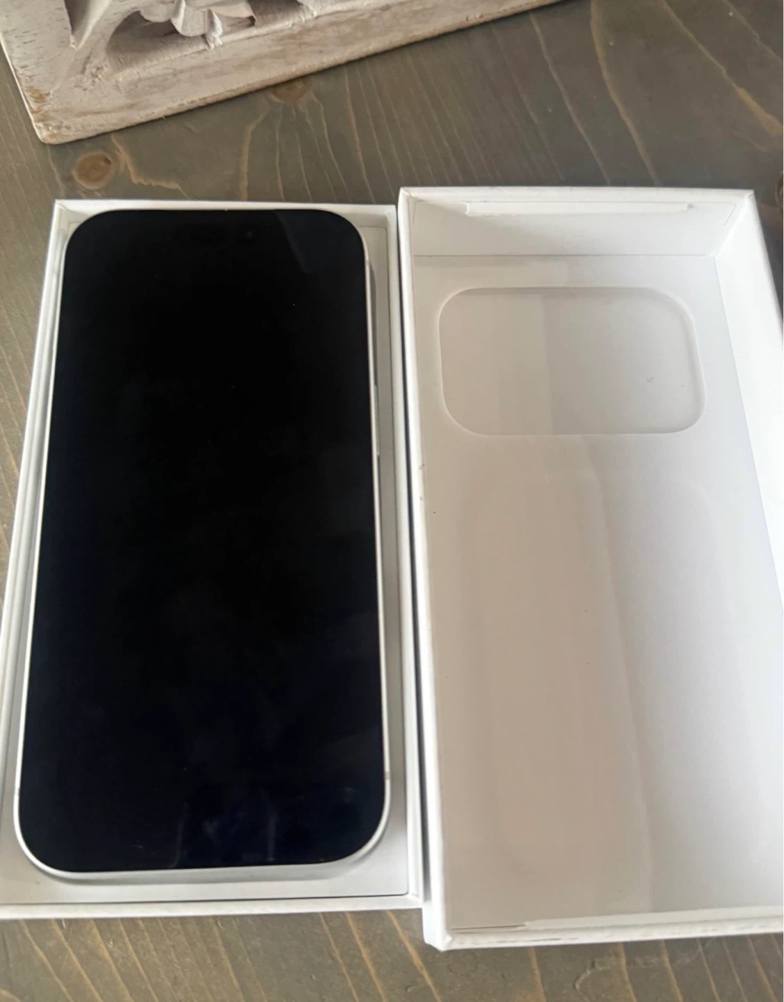 Apple iPhone 17 Pro 256GB Silver - photo 4