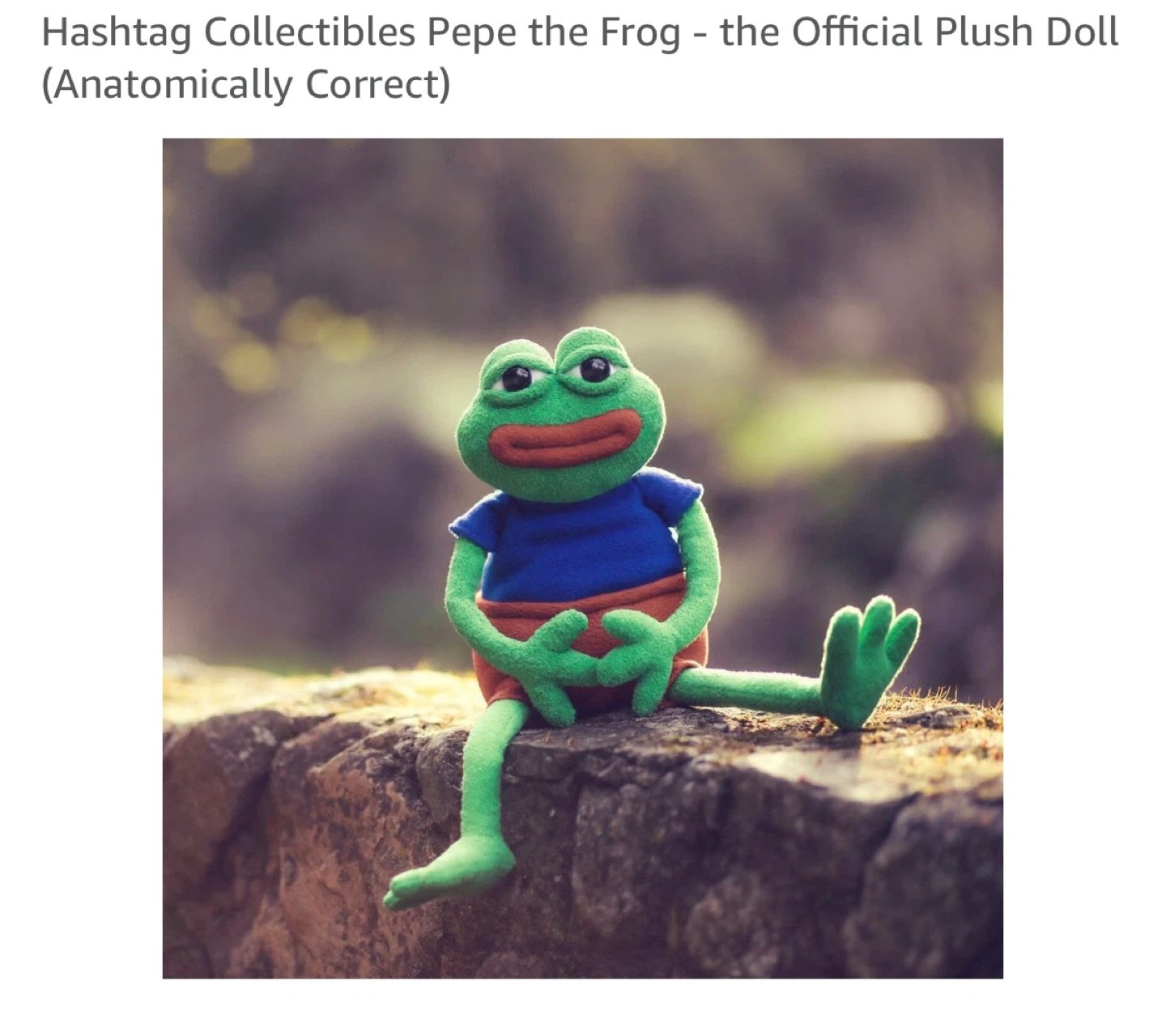 Hashtag Collectibles Pepe the Frog Plush Doll
