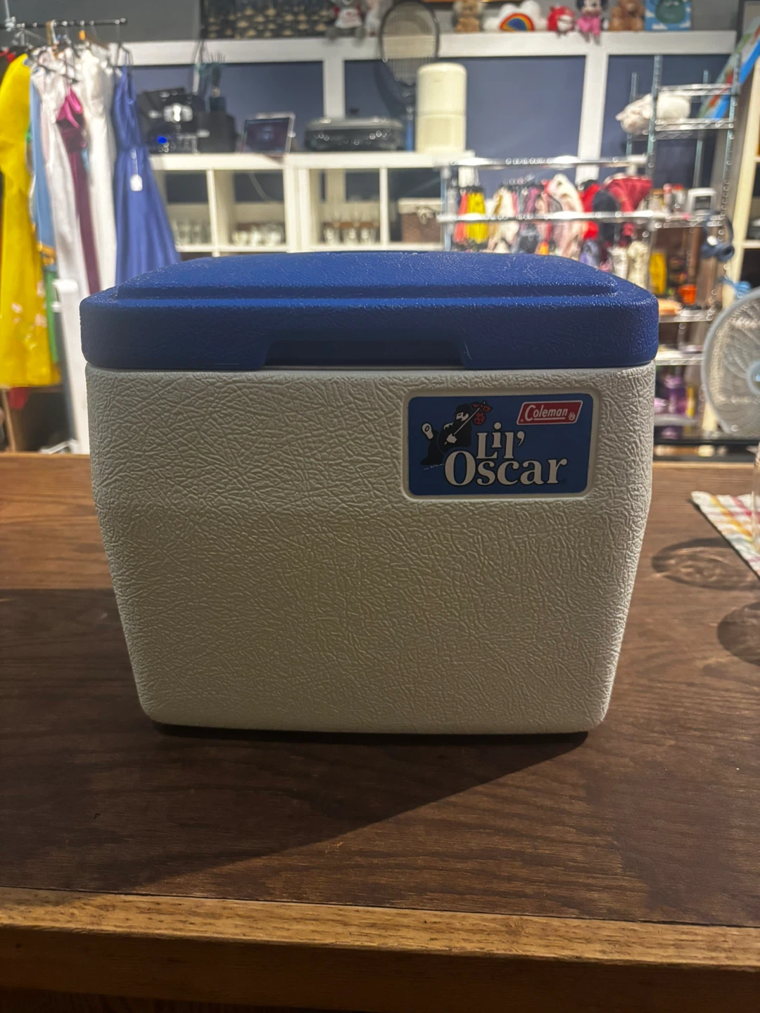 Coleman Lil' Oscar Cooler