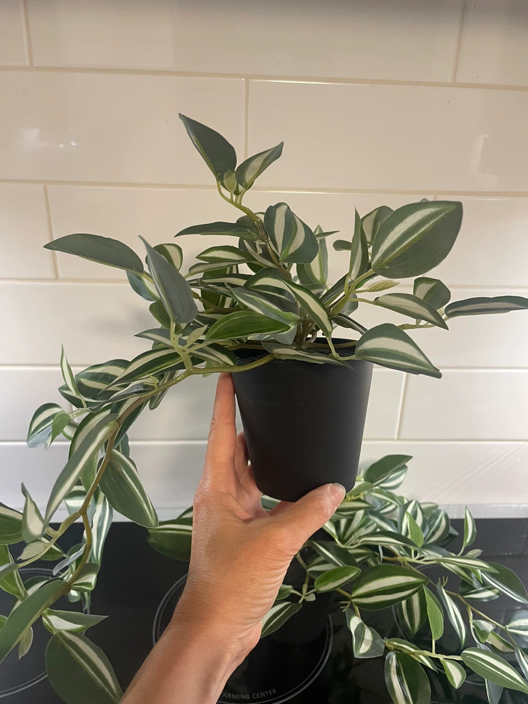 NEW! Artificial Gorgeous Green Plant