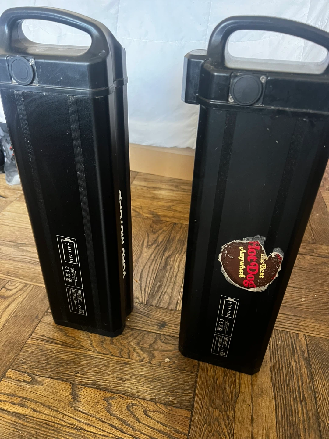 Voromotors Roadrunner Batteries (2)