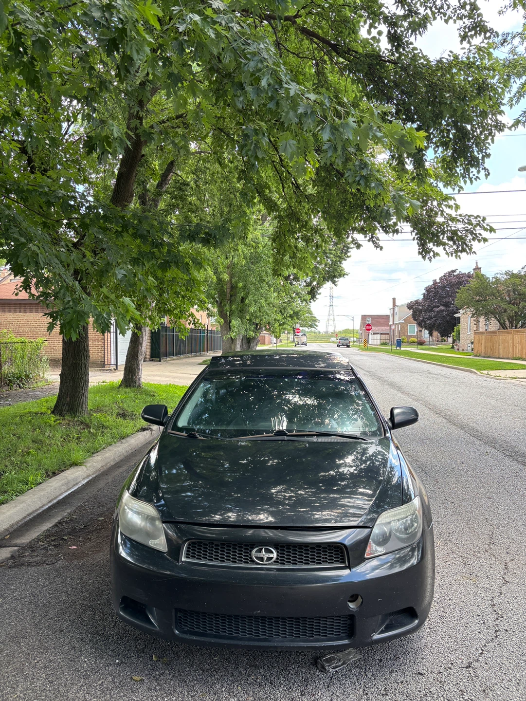 Dark Green Scion tC Coupe - photo 2