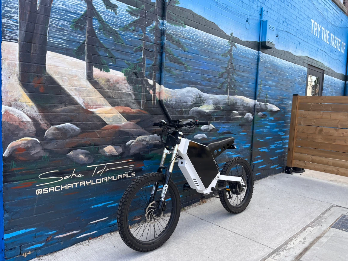 Stealth bomber Electric dirt bike - photo 2