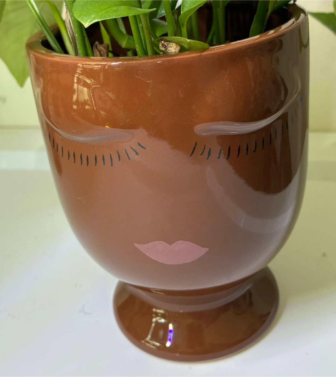 Jade Pothos Plant in Face Pot - photo 2