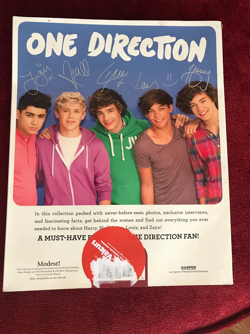 One Direction Behind The Scenes Official Book - photo 2