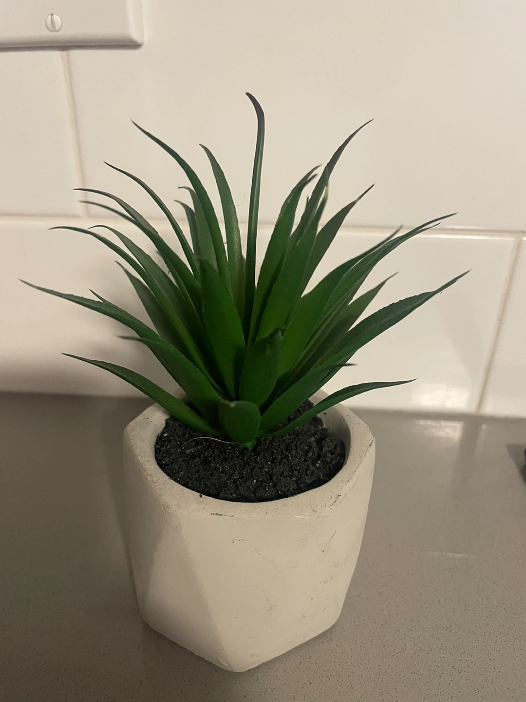 NEW! Artificial Succulent Plant in Geometric Pot