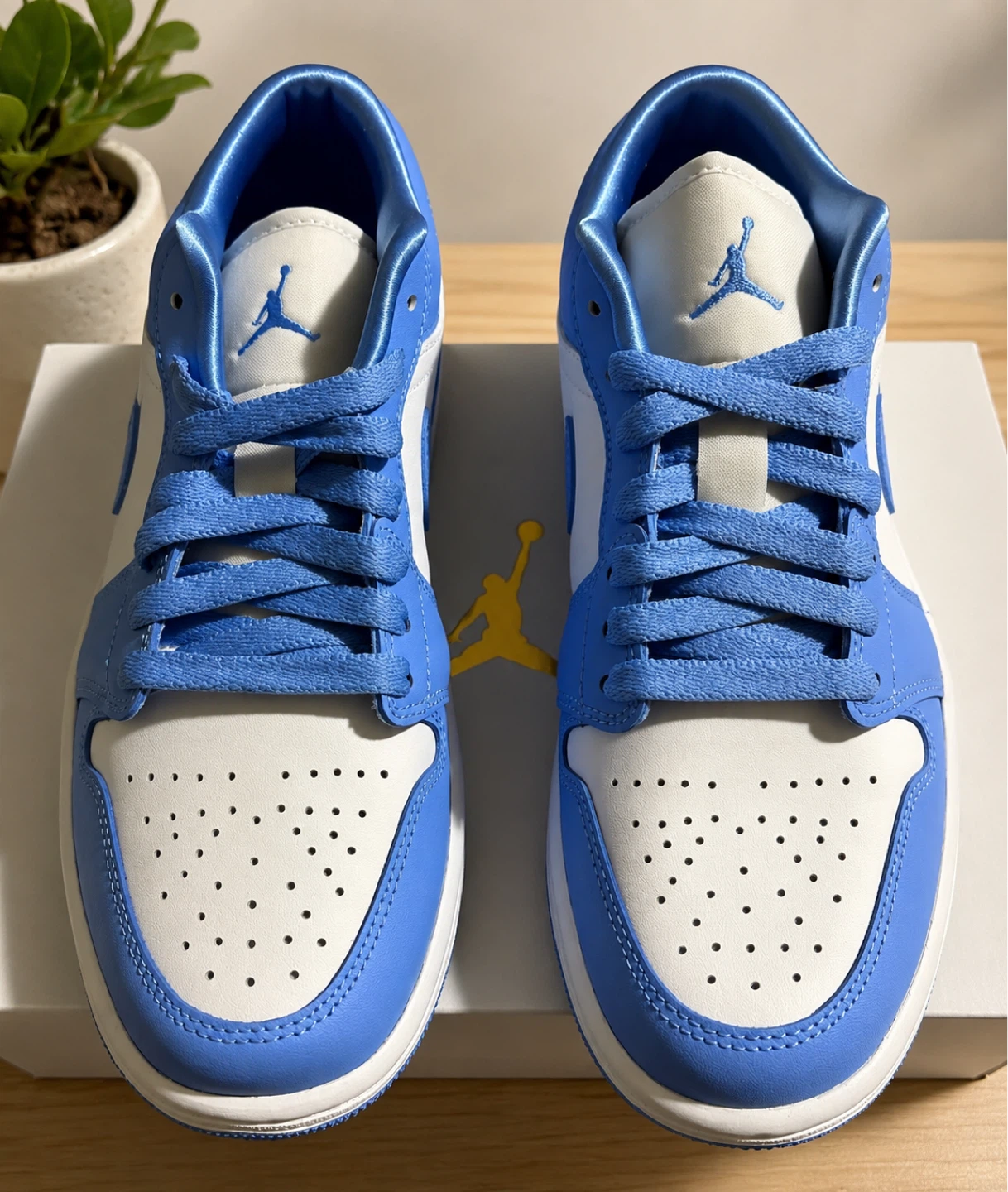 Jordan 1 Low SE