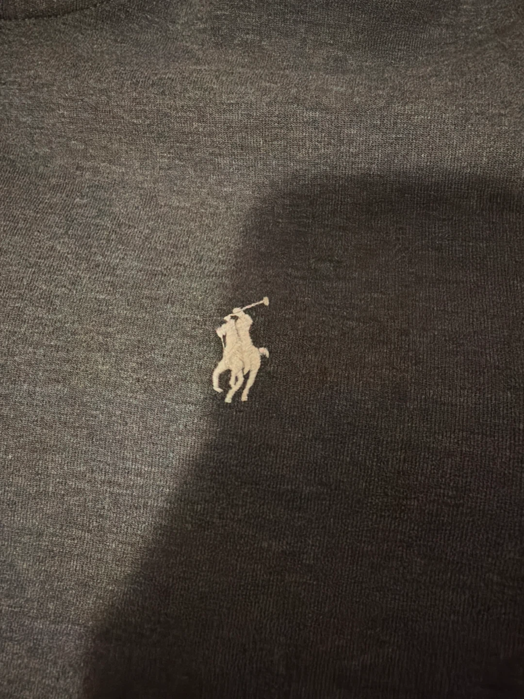 Polo Ralph Lauren Zip-Up Hoodie - photo 2