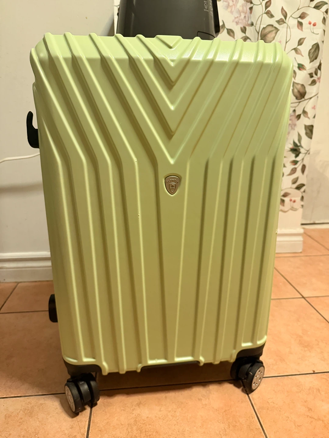 Light Green Hard Shell Carry-On Luggage