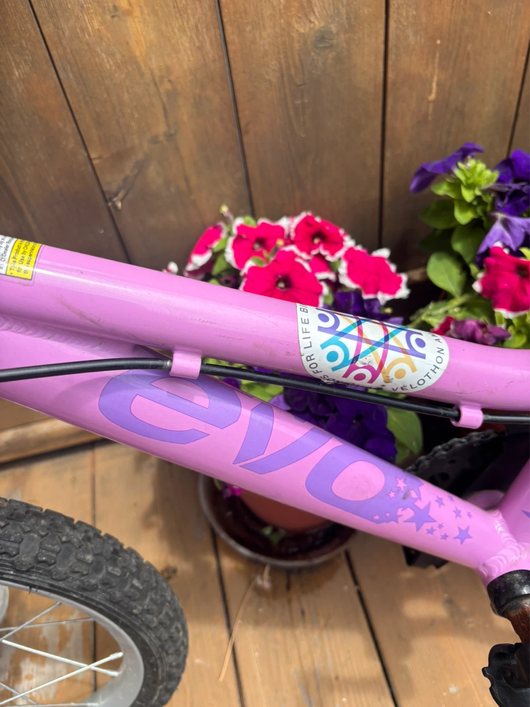 Pink EVO Kids Bicycle - photo 4