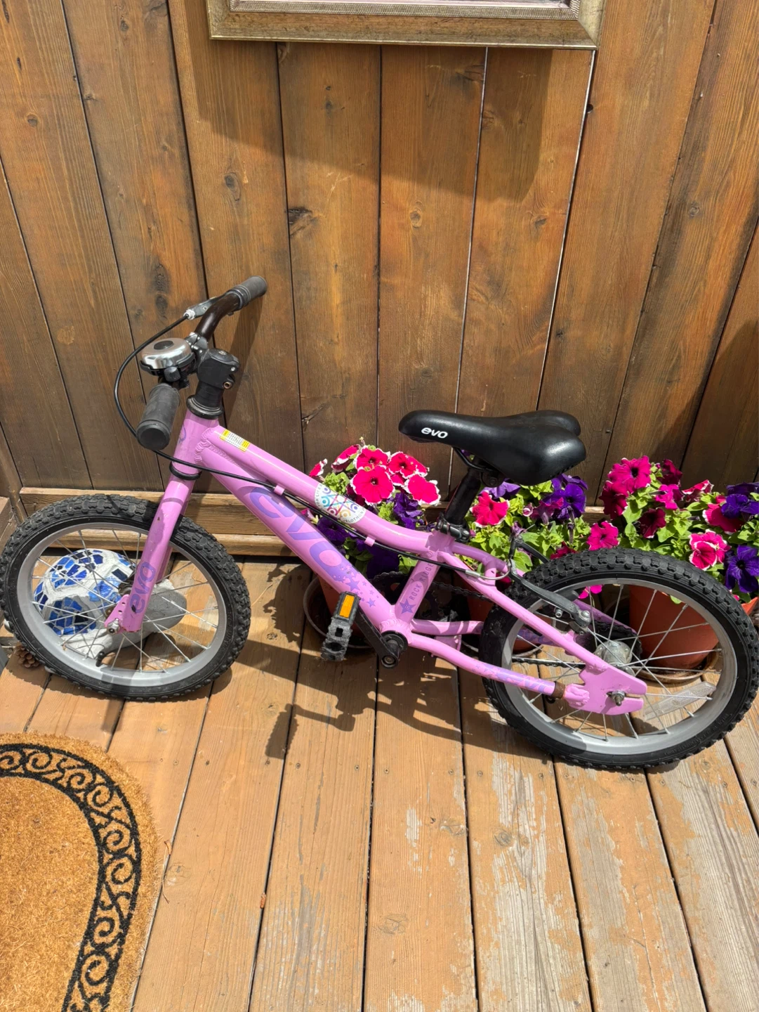Pink EVO Kids Bicycle