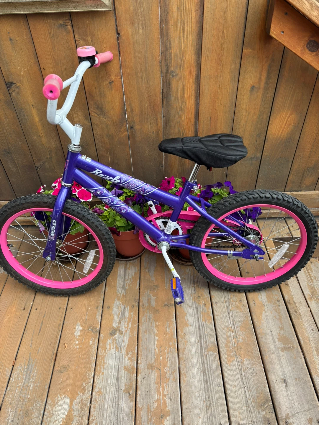 Purple and Pink Kids Bike