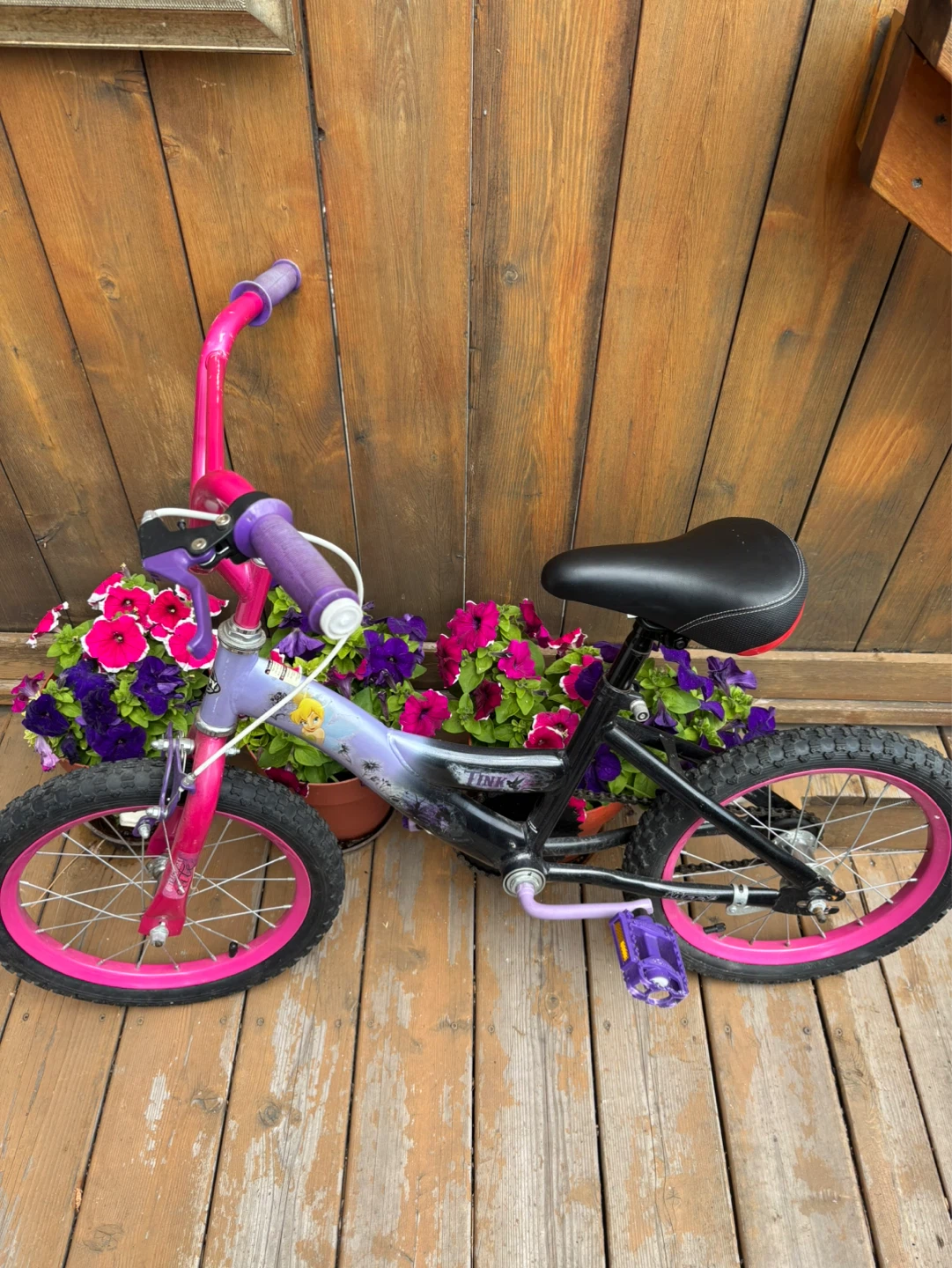 Kids Pink and Purple Bicycle