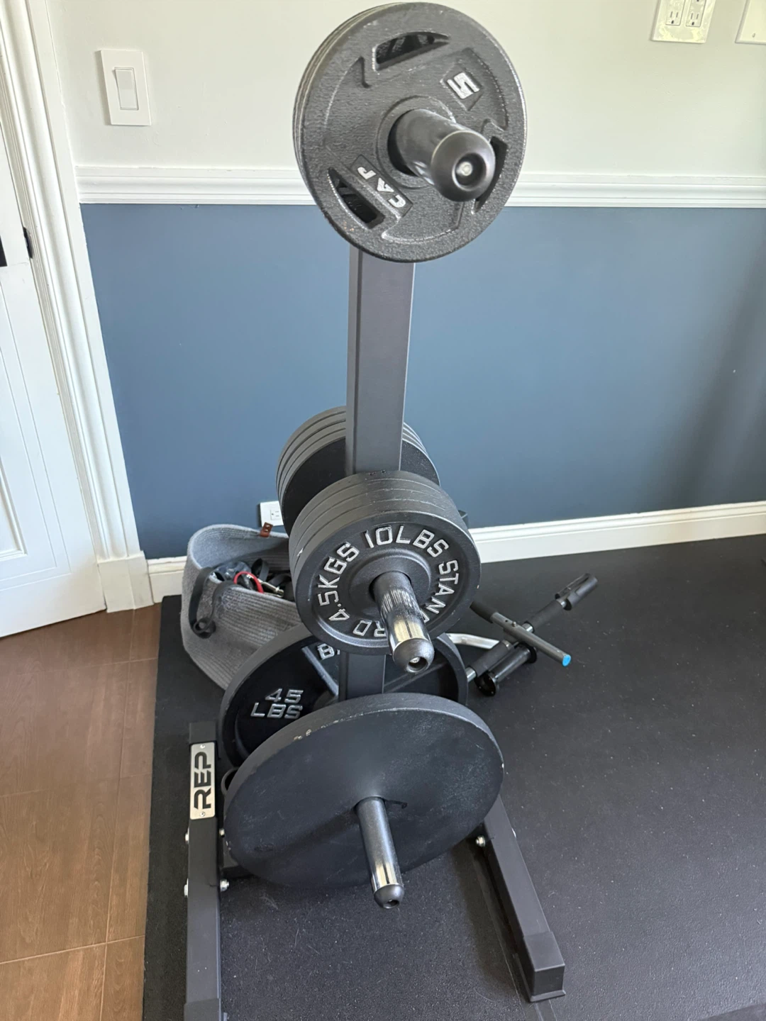 200lb Olympic metal weight plates and plate tree - photo 2