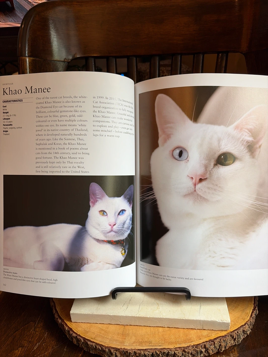 Encyclopedia of Cats Huge Softcover Book - photo 5