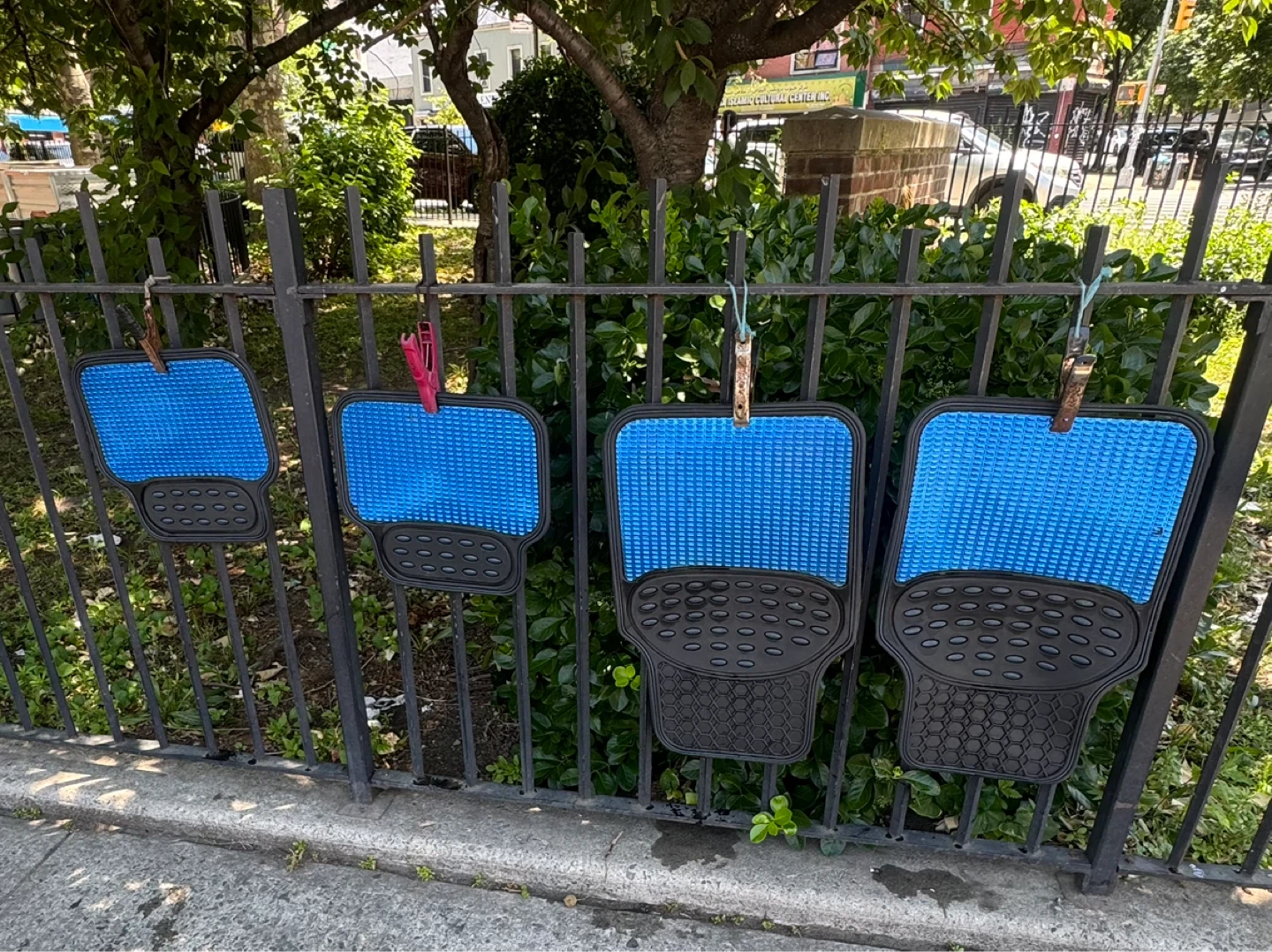 Blue Jelly Universal Car Mats