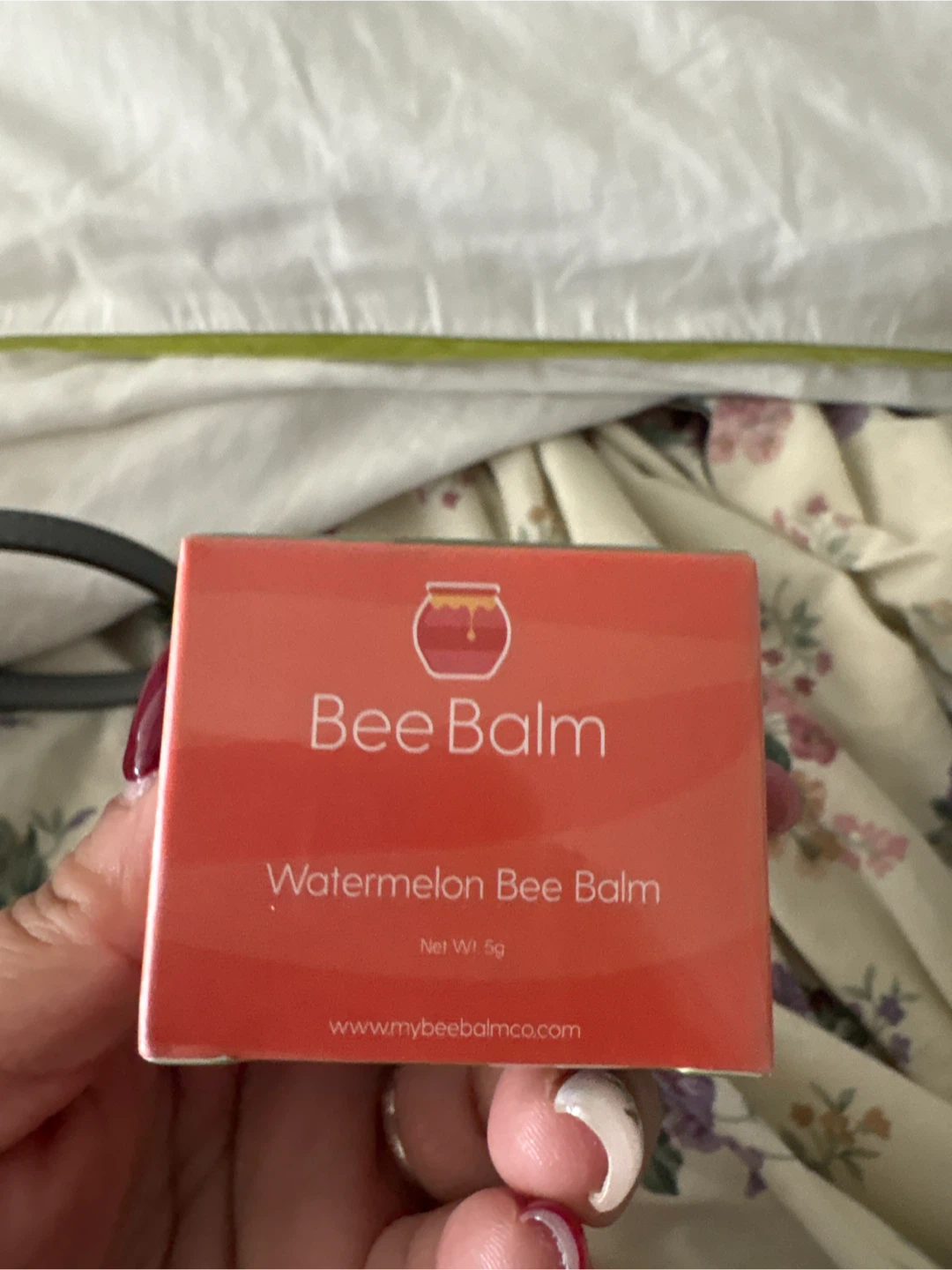 Bee Balm Watermelon Bee Balm
