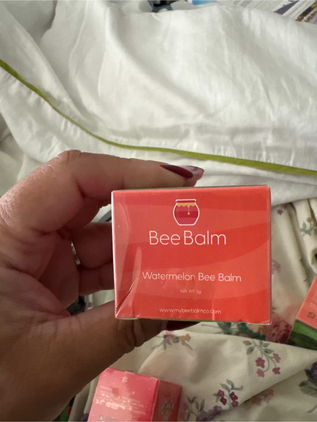 Bee Balm Watermelon Bee Balm - photo 2