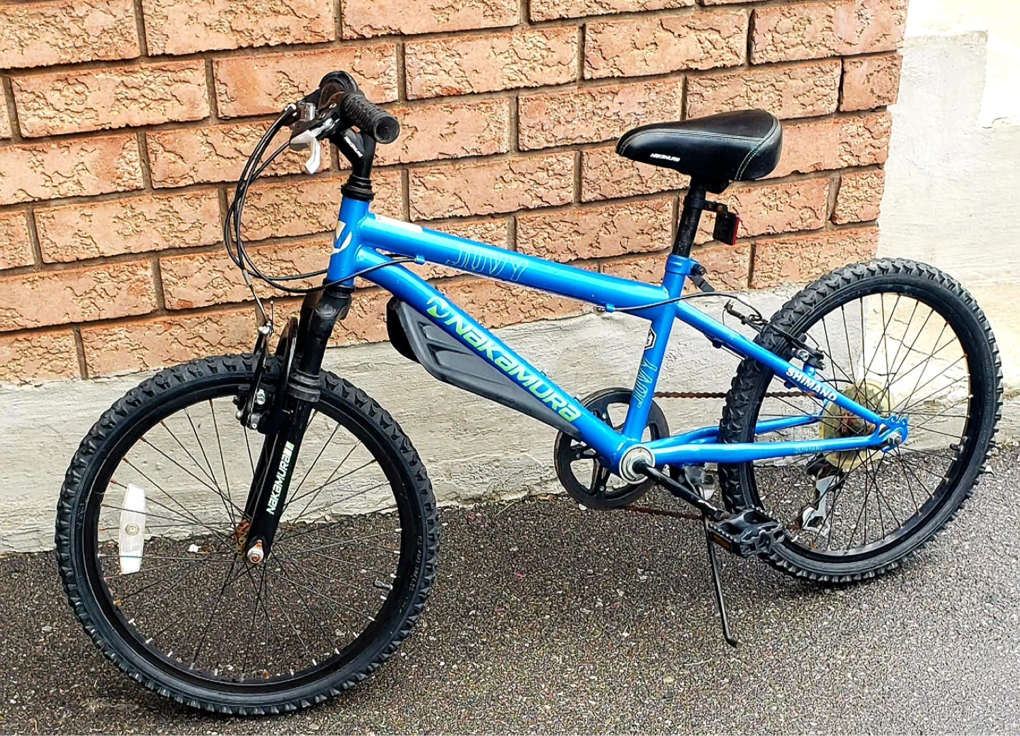 Nakamura Blue Bicycle - photo 2