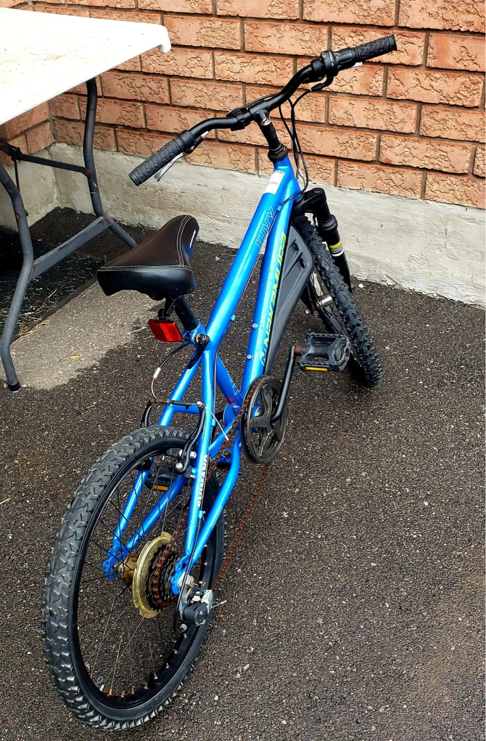 Nakamura Blue Bicycle - photo 4