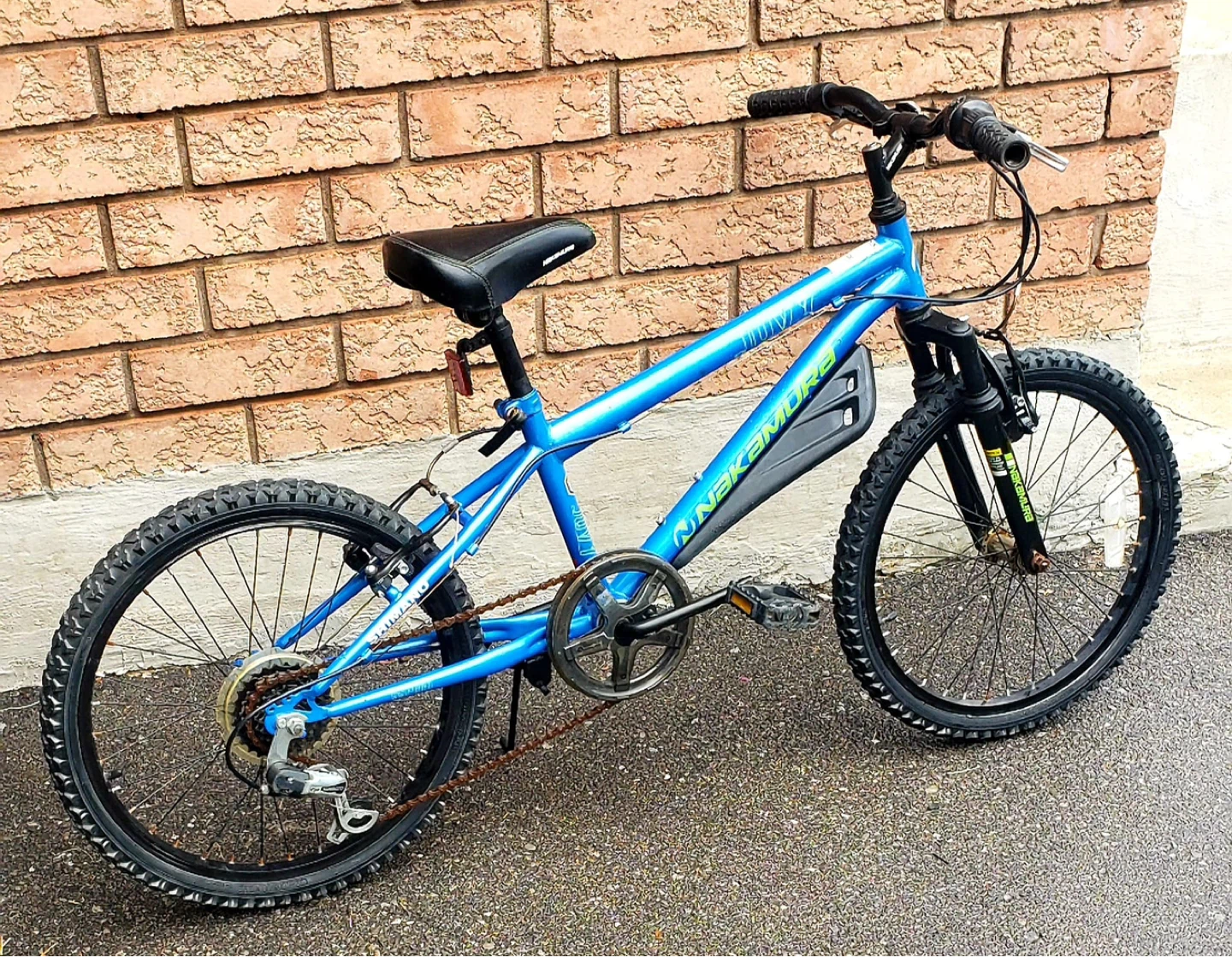 Nakamura Blue Bicycle - photo 3