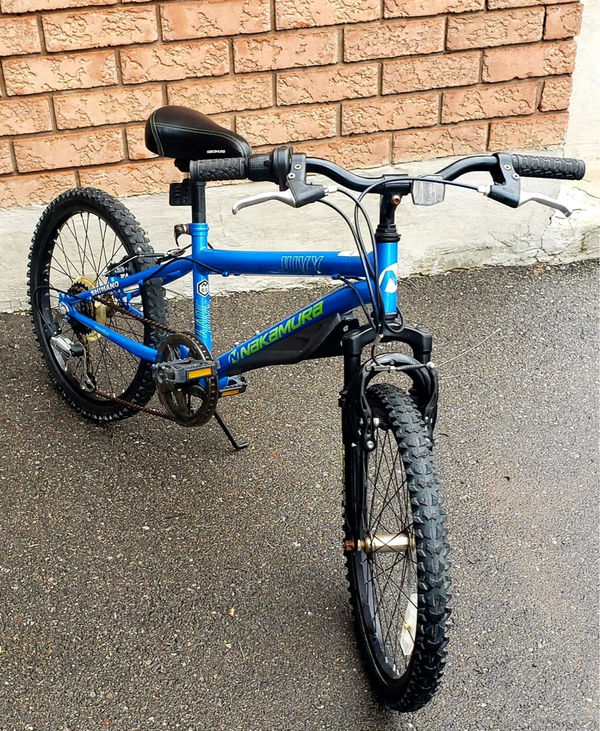Nakamura Blue Bicycle