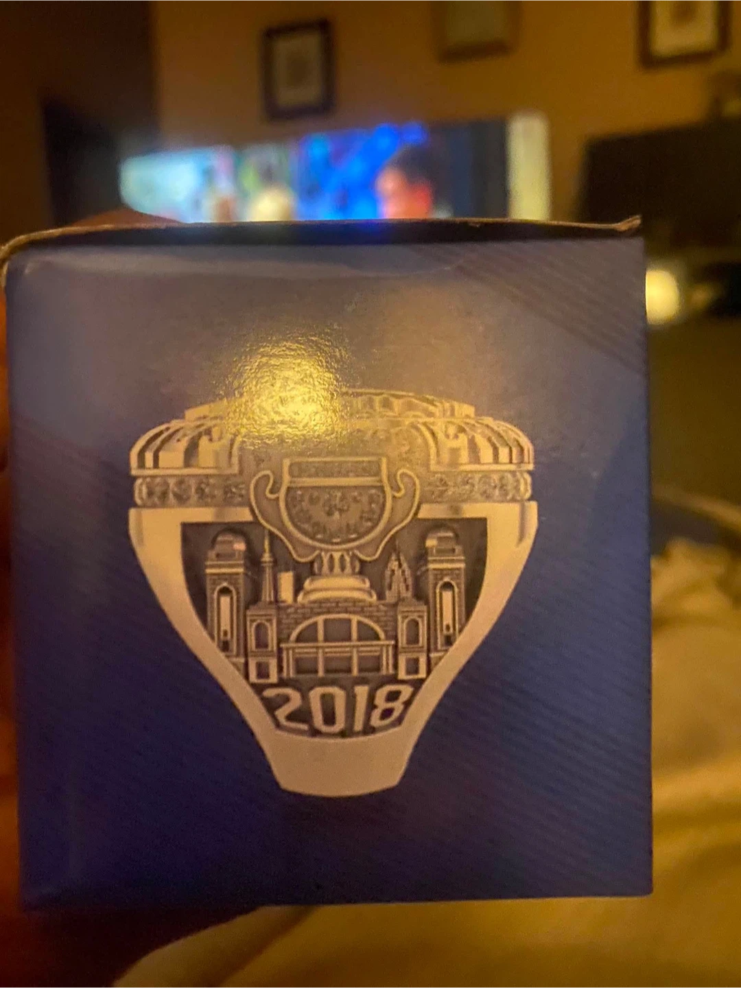 Toronto Marlies Replica Ring 2018 - photo 4