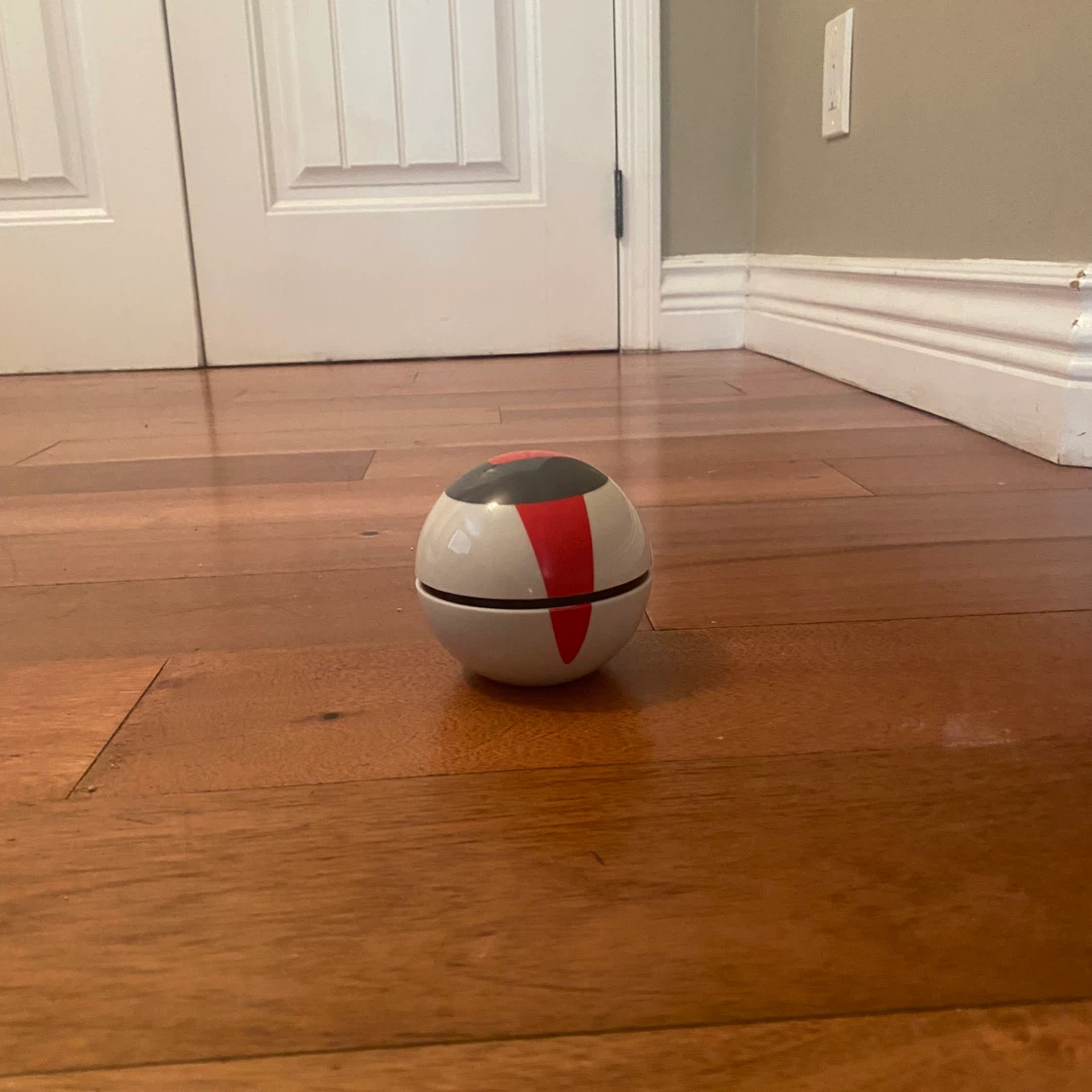 Pokémon Trainer Guess - photo 2