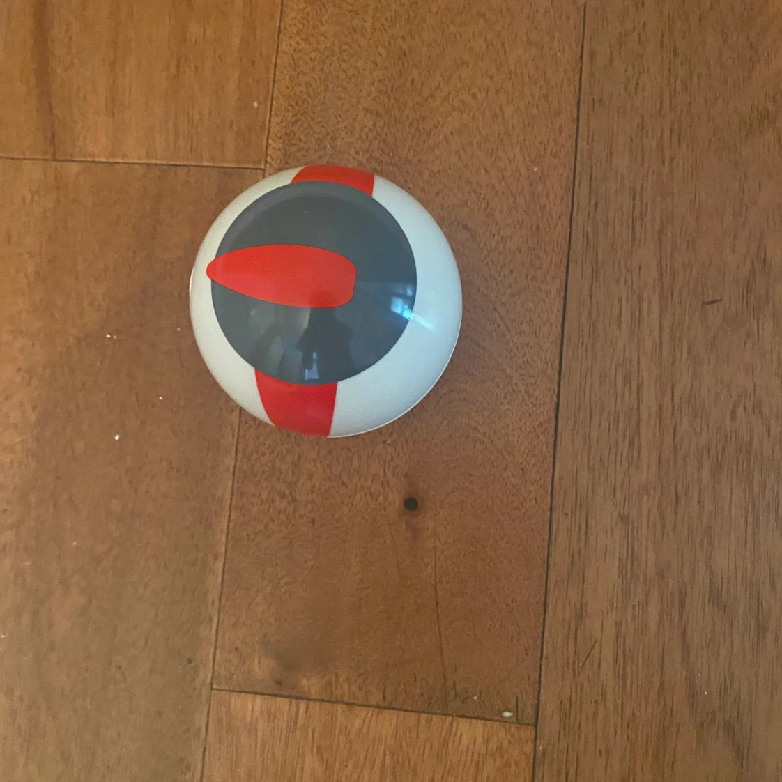 Pokémon Trainer Guess - photo 4