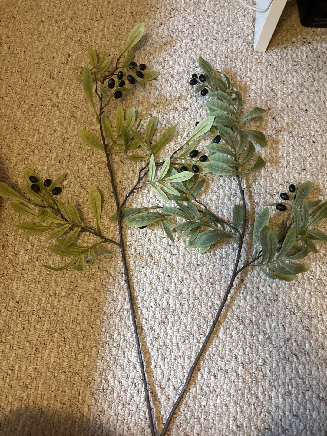Micheal’s Faux Olive Branch Stems