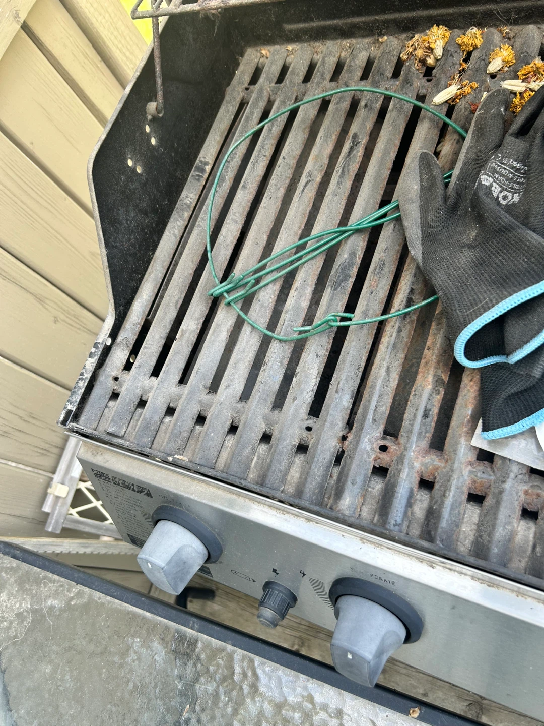 Stainless Steel Gas Grill