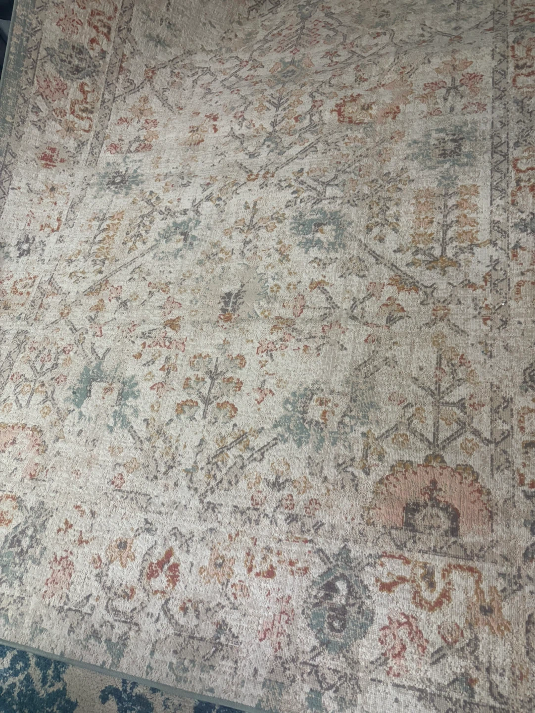 Area Rug - photo 2
