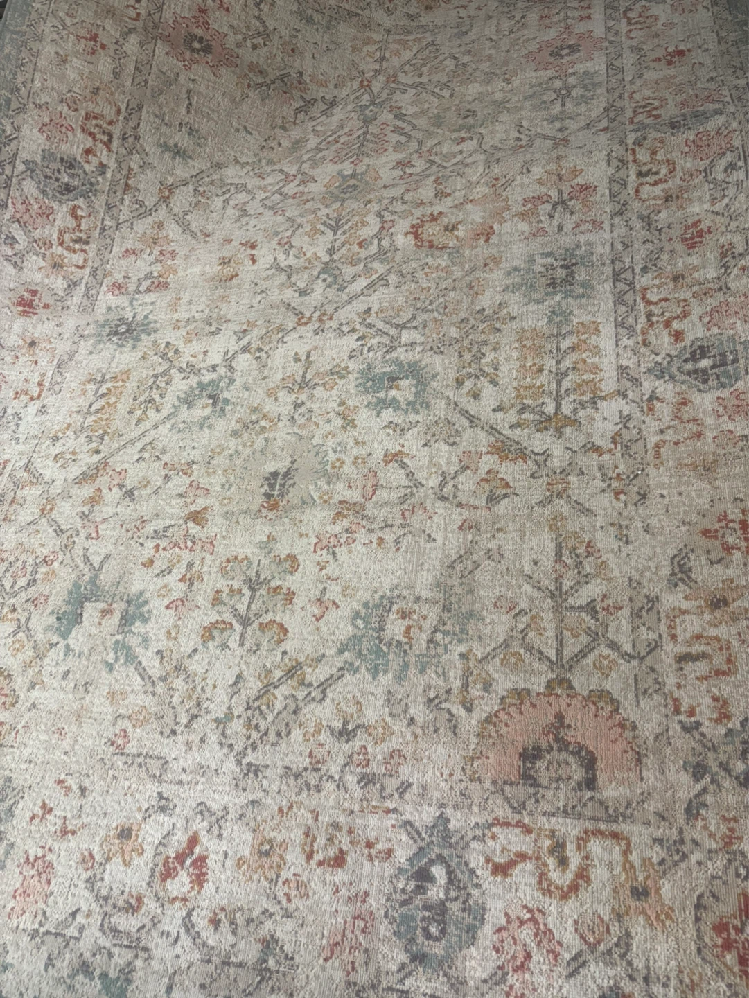 Area Rug
