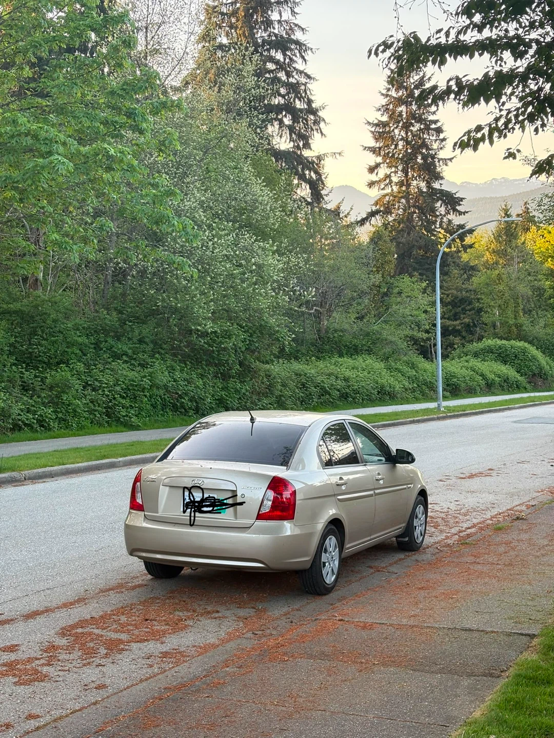 Hyundai Accent Sedan - photo 5