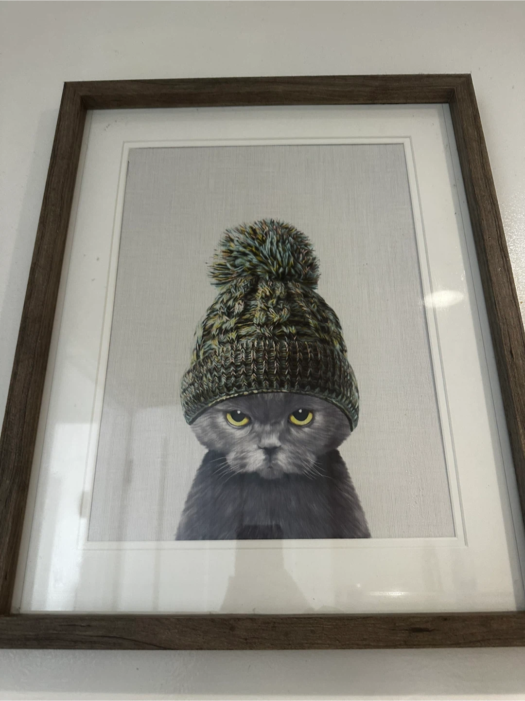 Framed Wall Art - Cat in Beanie