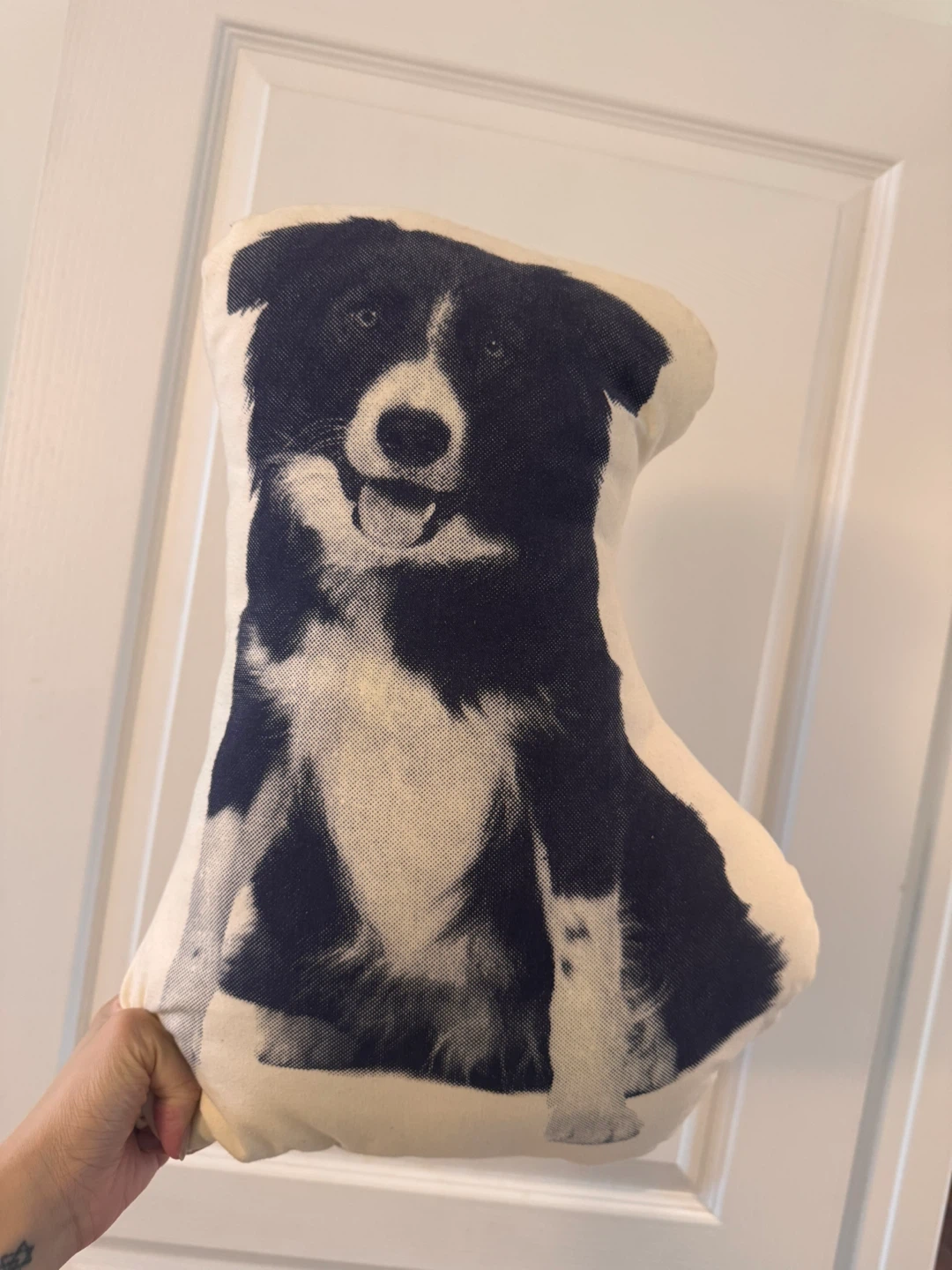 Dog cusion