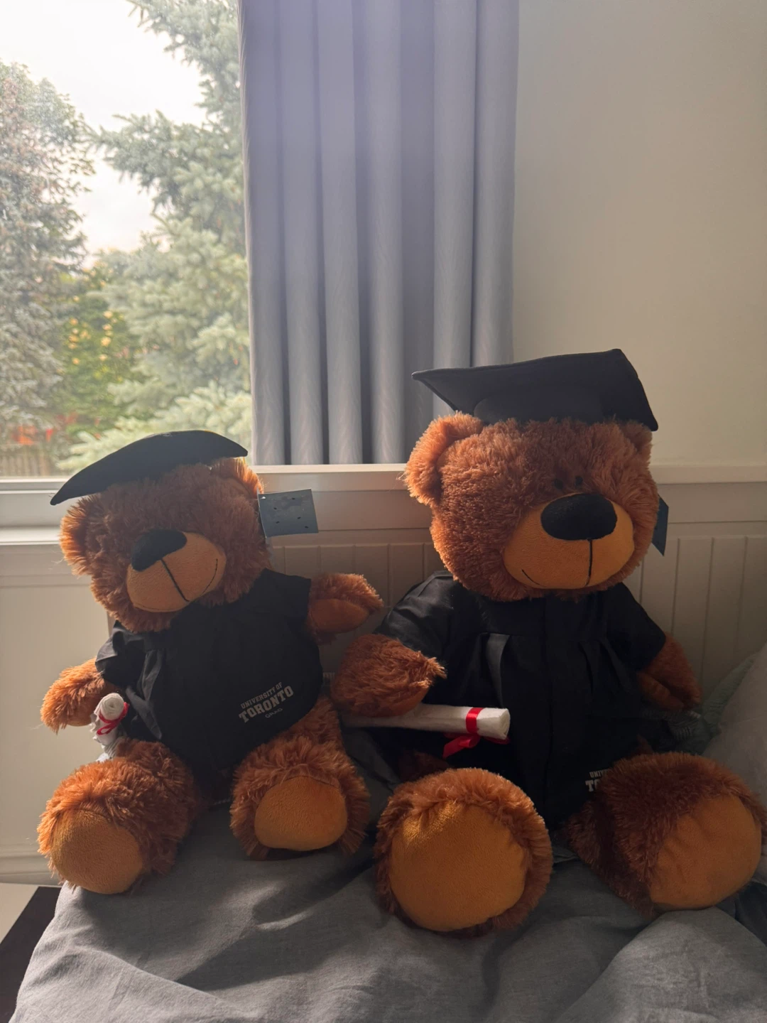 University of Toronto Graduation Teddy Bears (Set of 2)