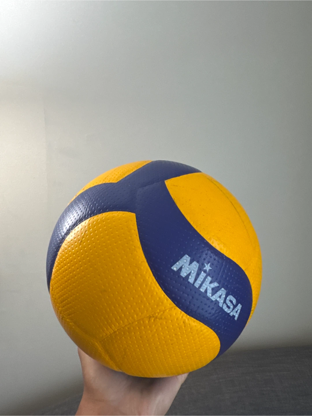 Mikasa V200W Volleyball