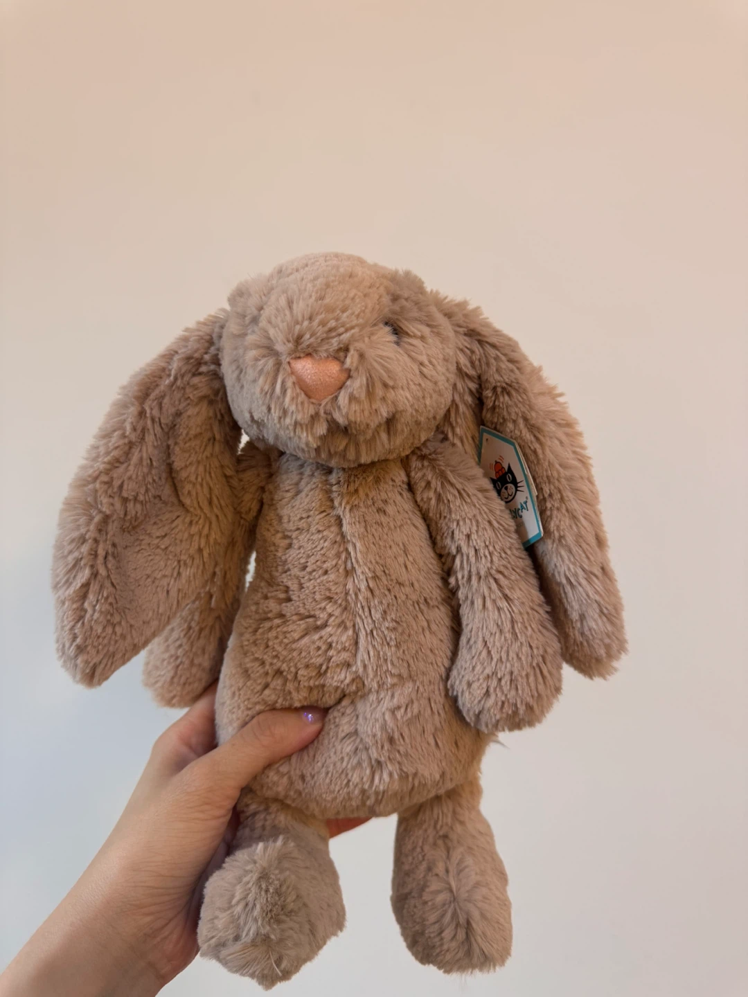 Brand new Jellycat Bashful Bunny