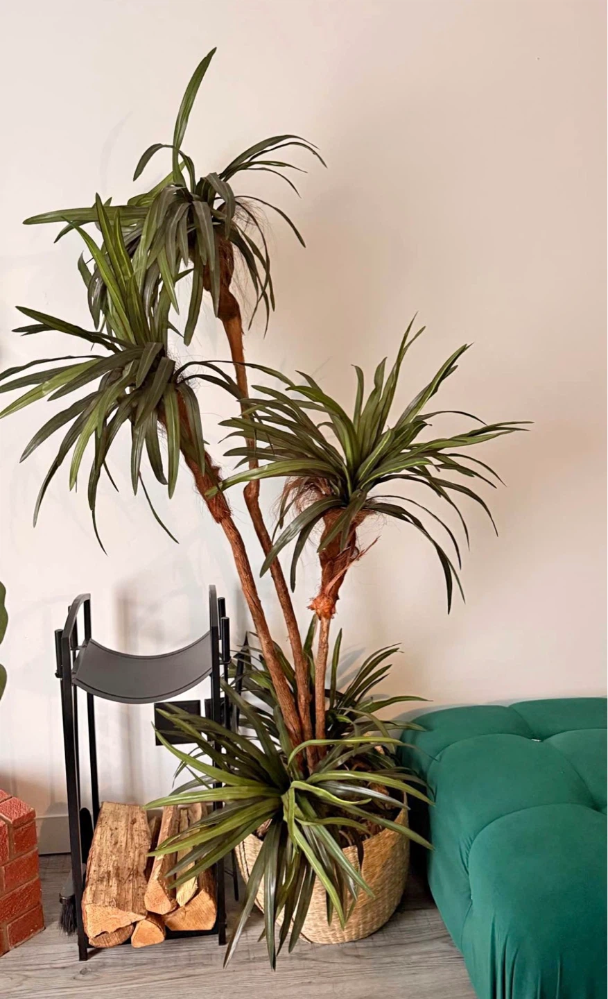 Artificial Dracaena Plant in Wicker Basket